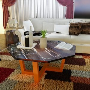 Octagon Black Pattern Glossy Natural Finishing Petrified Wood Coffee Table