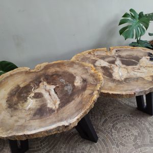 Natural Rounded Shape Coffee Table Petrified Wood Darken Color on Center Pattern Material with Painted Iron Stand