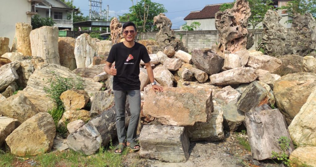 Petrified Wood Raw Material