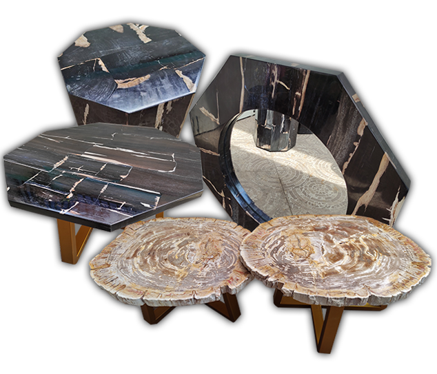 Janbois Petrified Wood Furniture